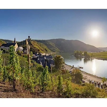 Holiday Moselle Terrace *