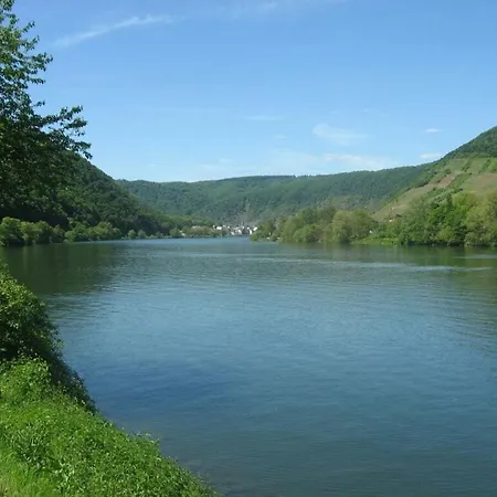 Lejlighed Holiday Moselle Terrace Briedern