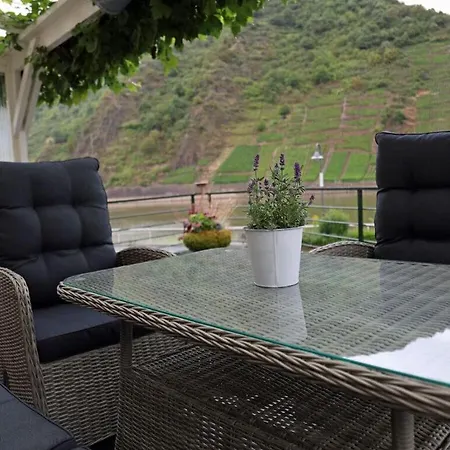 Holiday Moselle Terrace * Briedern