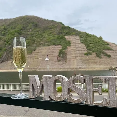 Holiday Moselle Terrace