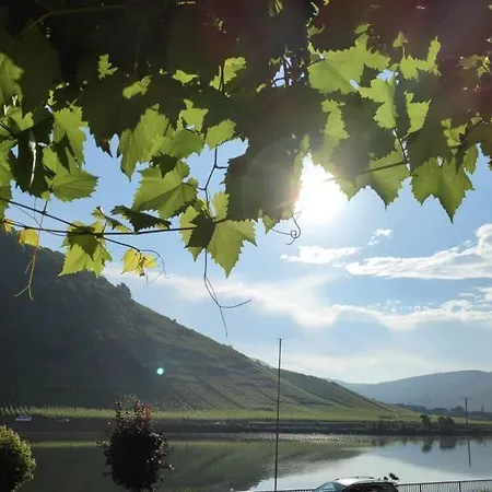 Holiday Moselle Terrace * Briedern