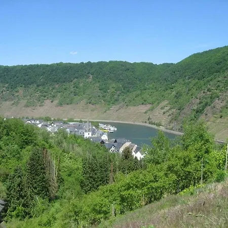Holiday Moselle Terrace Lejlighed Briedern