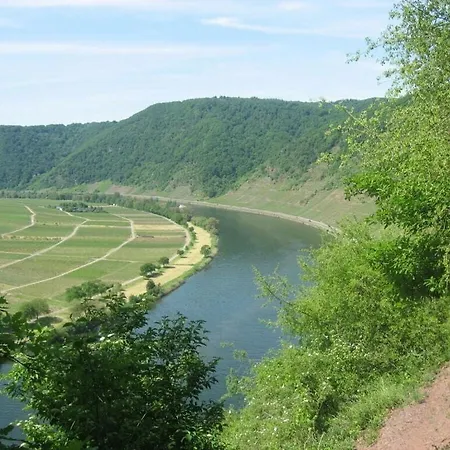 Holiday Moselle Terrace Lejlighed