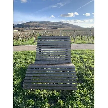 Holiday Moselle Terrace