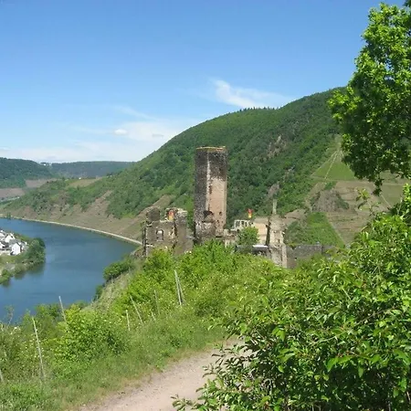 Holiday Moselle Terrace Lejlighed Briedern